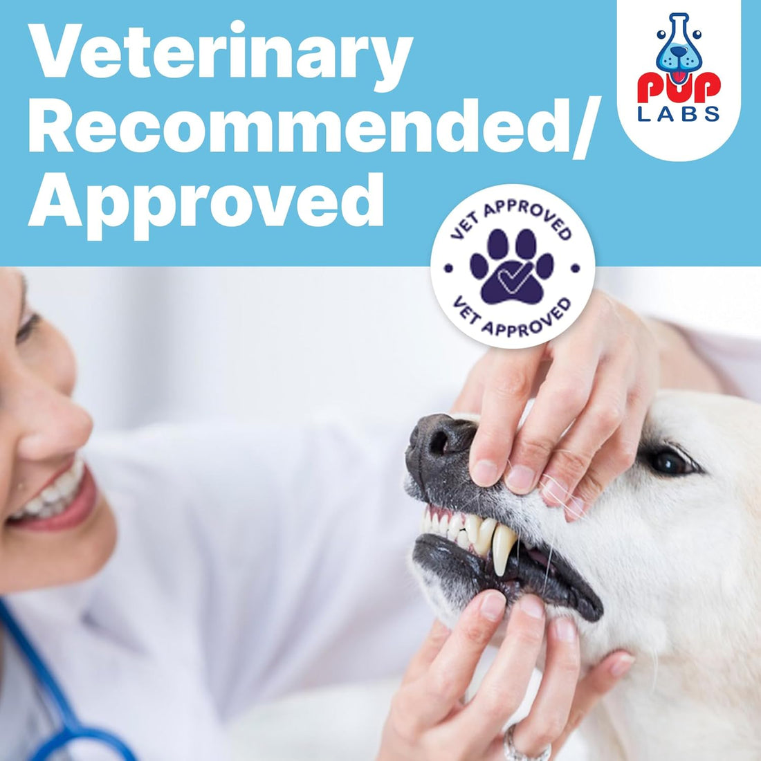 Pup Labs ProDenta, All-Natural Dog Dental Powder for Teeth Cleaning, for Breath Freshener. Easy to use for Tartar Removal and Leaky Gums